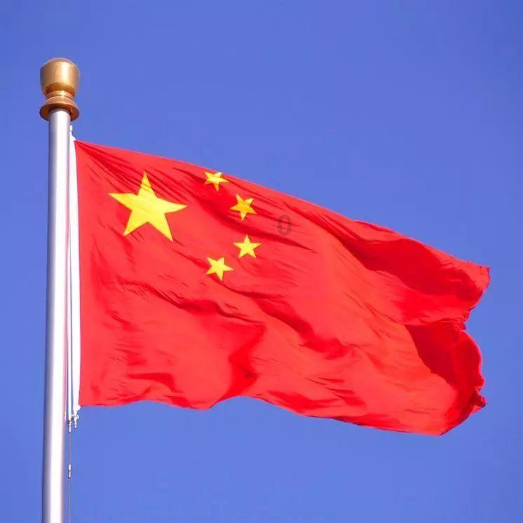 孤独的流浪者救援